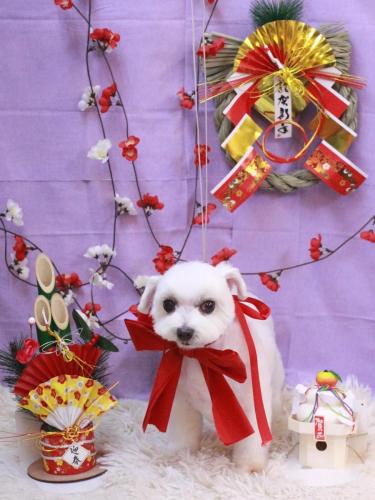 20230127うららちゃん